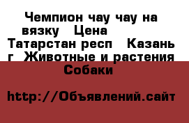 Чемпион чау-чау на вязку › Цена ­ 10 000 - Татарстан респ., Казань г. Животные и растения » Собаки   